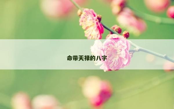 命帶天祿的八字