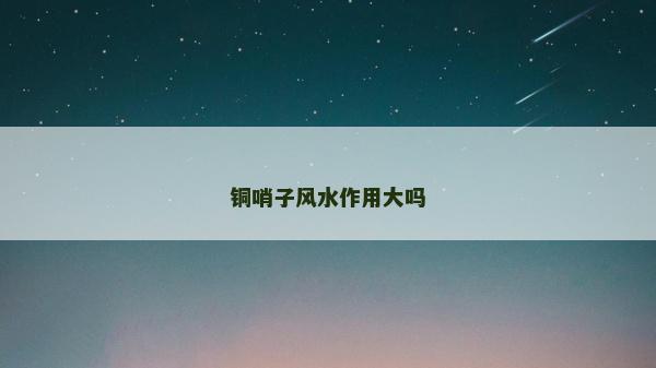 銅哨子風水作用大嗎