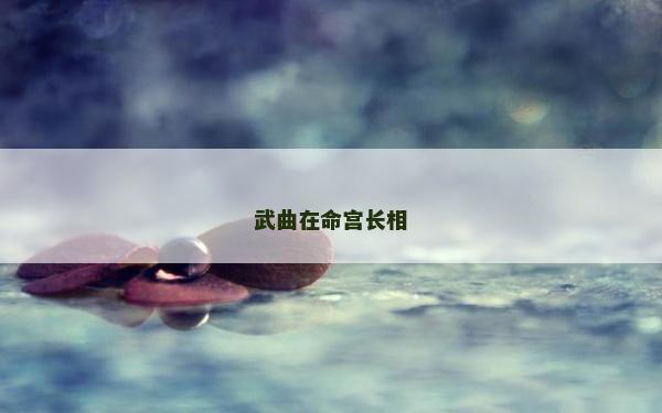 武曲在命宮長相