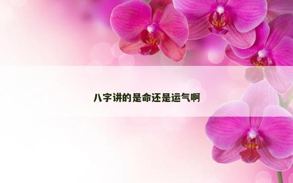 八字講的是命還是運氣啊