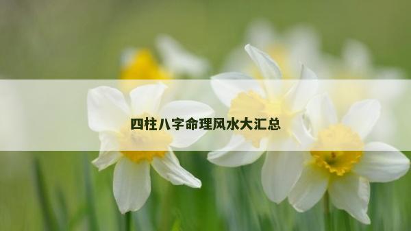 四柱八字命理風水大匯總