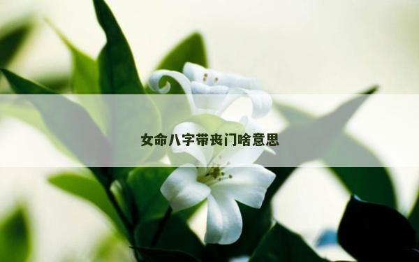 女命八字帶喪門啥意思