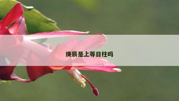 庚辰是上等日柱嗎