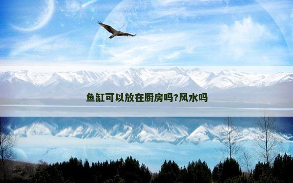 魚(yú)缸可以放在廚房嗎?風(fēng)水嗎