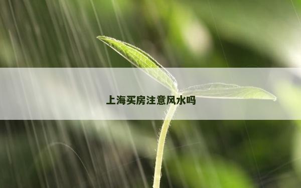 上海買房注意風(fēng)水嗎