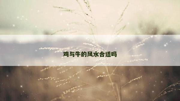 雞與牛的風水合適嗎