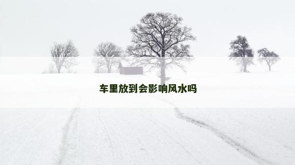 車里放到會影響風水嗎