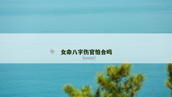 女命八字傷官怕合嗎