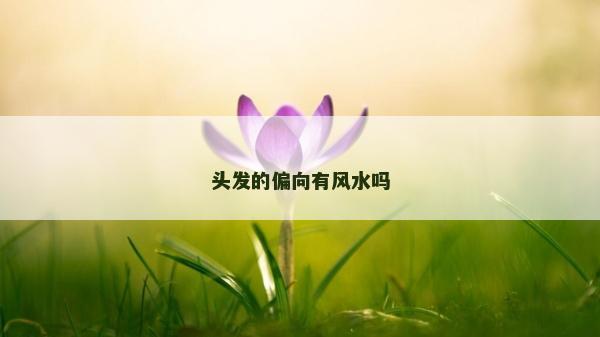 頭發的偏向有風水嗎