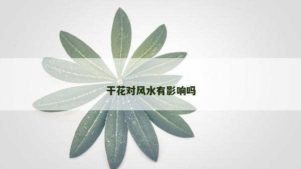 干花對風水有影響嗎
