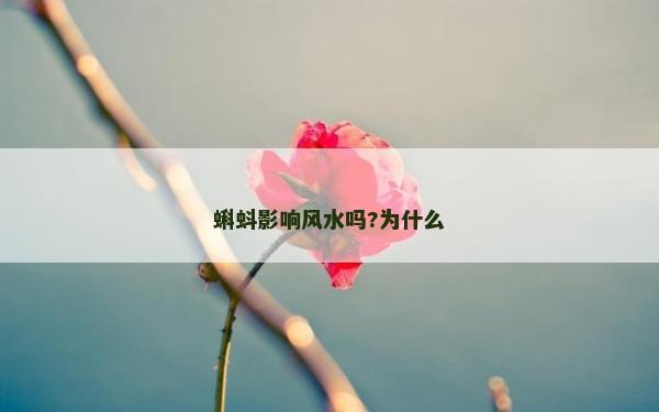 蝌蚪影響風水嗎?為什么
