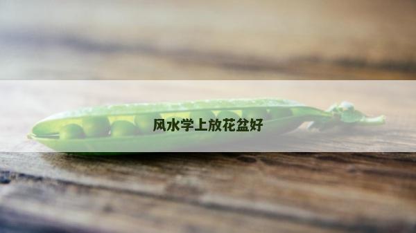 風(fēng)水學(xué)上放花盆好