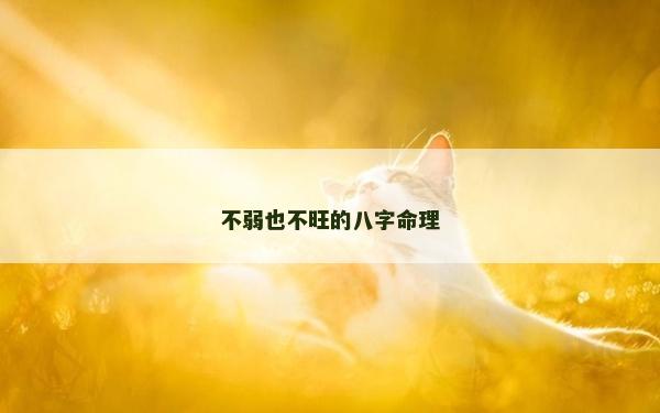 不弱也不旺的八字命理