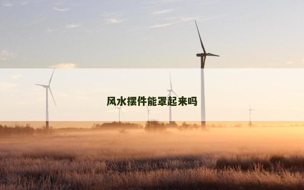 風水擺件能罩起來嗎