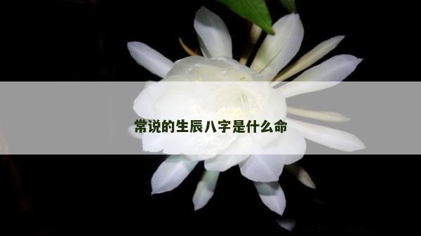 常說的生辰八字是什么命
