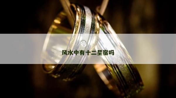 風水中有十二星宿嗎