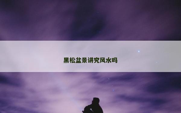 黑松盆景講究風水嗎