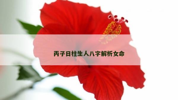 丙子日柱生人八字解析女命