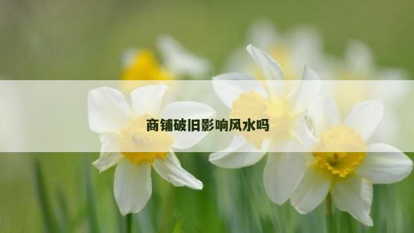 商鋪破舊影響風水嗎 商鋪破舊影響風水嗎