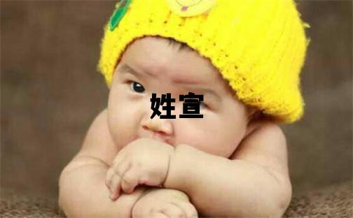 姓宣叫什么名字好 姓宣的男孩朗朗上口的名字