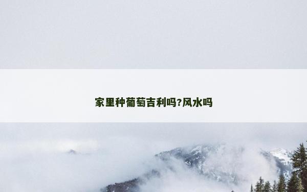 家里種葡萄吉利嗎?風水嗎