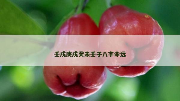 壬戌庚戌癸未壬子八字命遠