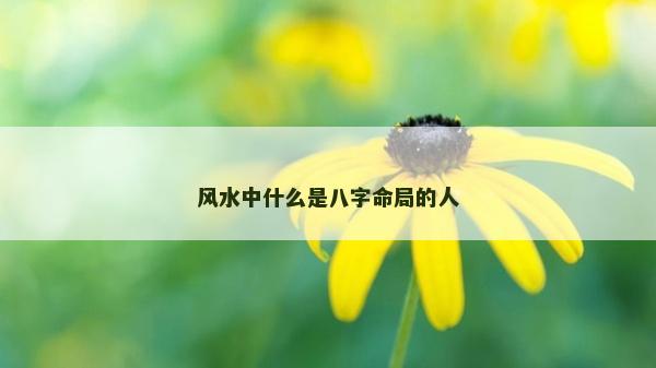風水中什么是八字命局的人