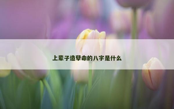 上輩子造孽命的八字是什么