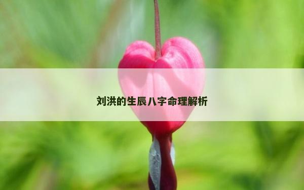 劉洪的生辰八字命理解析