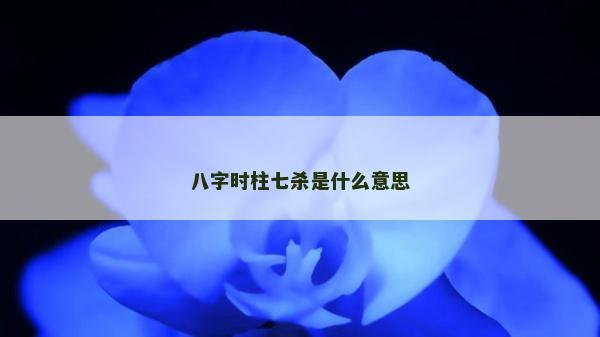 八字時柱七殺是什么意思