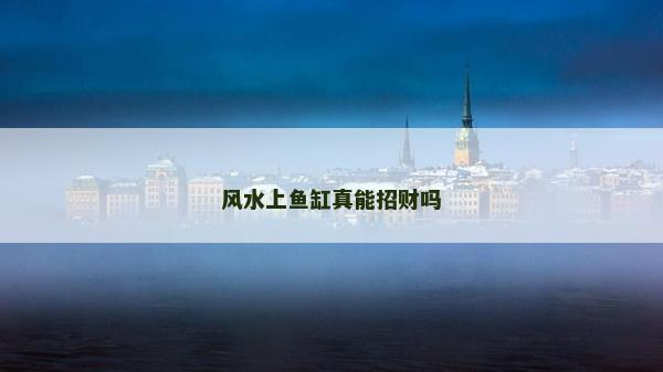 風水上魚缸真能招財嗎