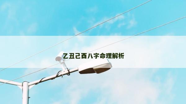 乙丑己酉八字命理解析