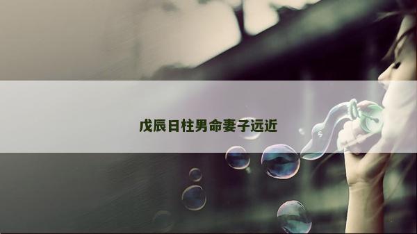 戊辰日柱男命妻子遠近