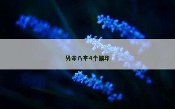 男命八字4個偏印