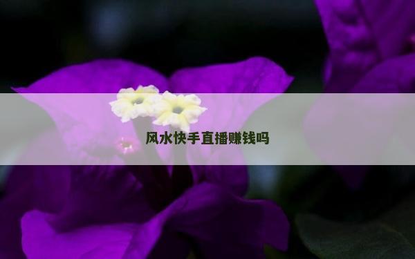 風水快手直播賺錢嗎