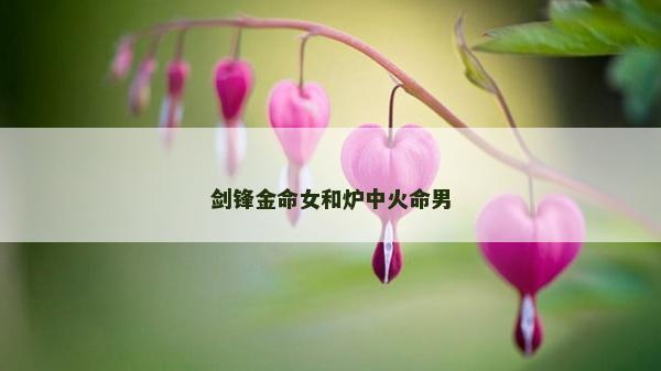 劍鋒金命女和爐中火命男