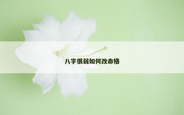 八字很弱如何改命格 八字很弱如何改命格