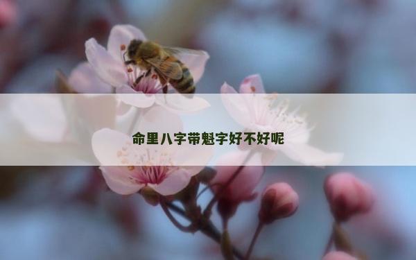 命里八字帶魁字好不好呢