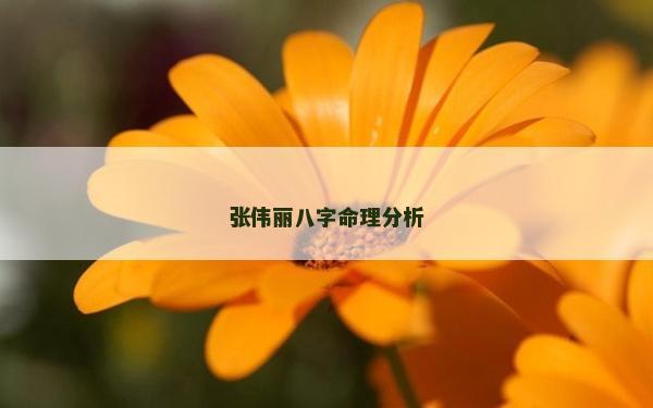 張偉麗八字命理分析