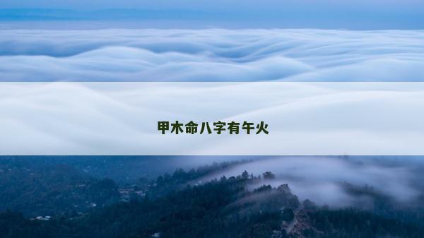 甲木命八字有午火 甲木命八字有午火
