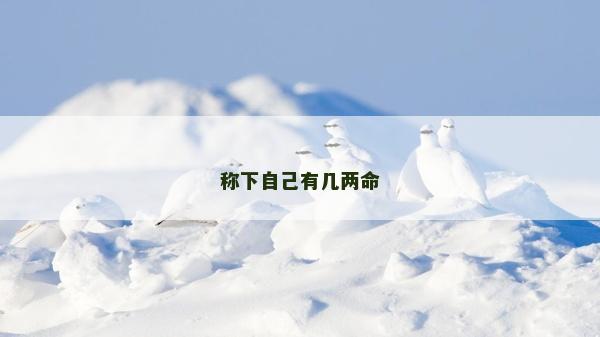 稱下自己有幾兩命