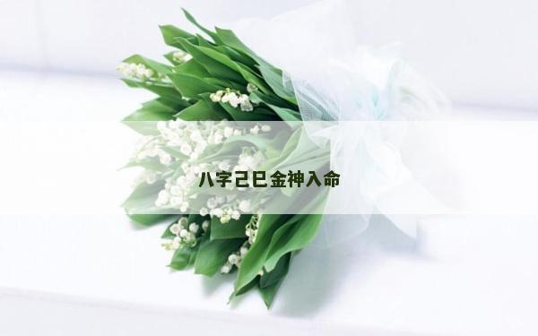 八字己巳金神入命