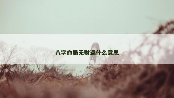八字命局無財運什么意思