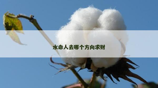 水命人去哪個方向求財