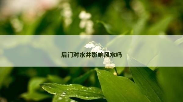 后門對水井影響風水嗎