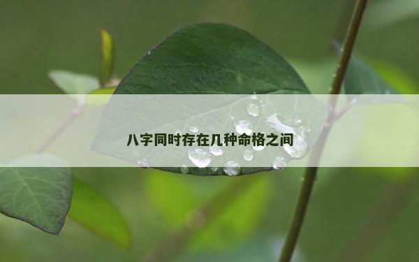 八字同時(shí)存在幾種命格之間