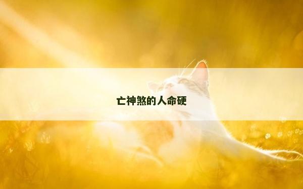 亡神煞的人命硬 亡神煞的人命硬