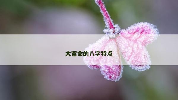 大富命的八字特點