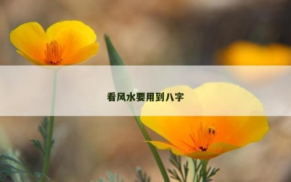 看風(fēng)水要用到八字