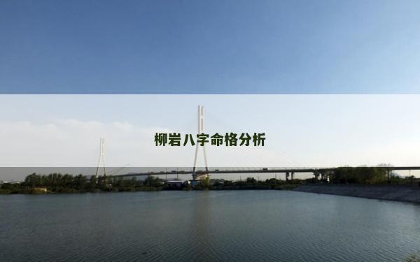 柳巖八字命格分析